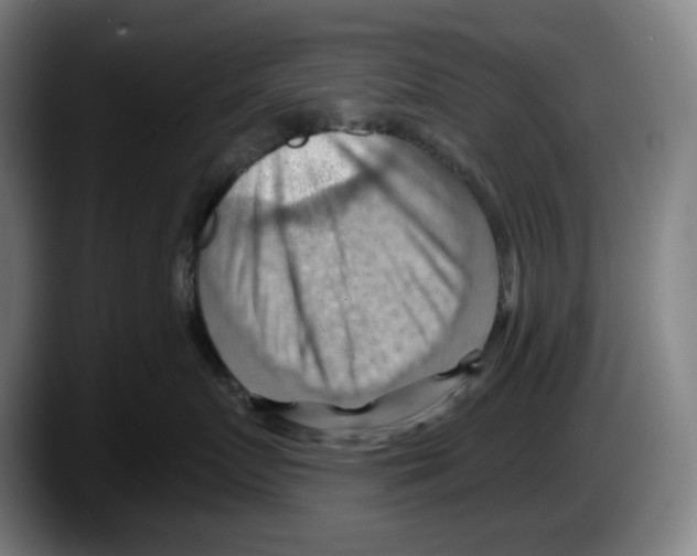 X0000087590719200705251901