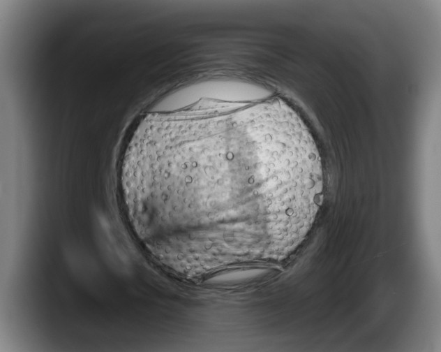 X0000087590721200705251901