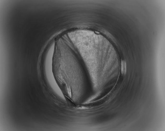 X0000087590723200705251901