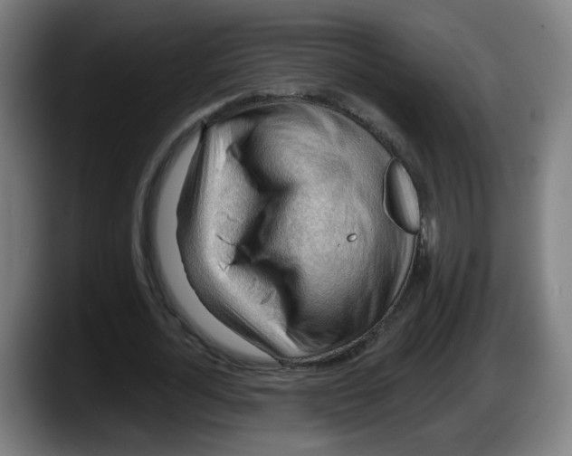 X0000087590724200705251901