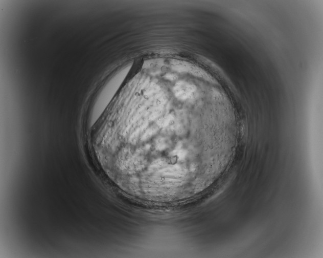 X0000087590725200705251901