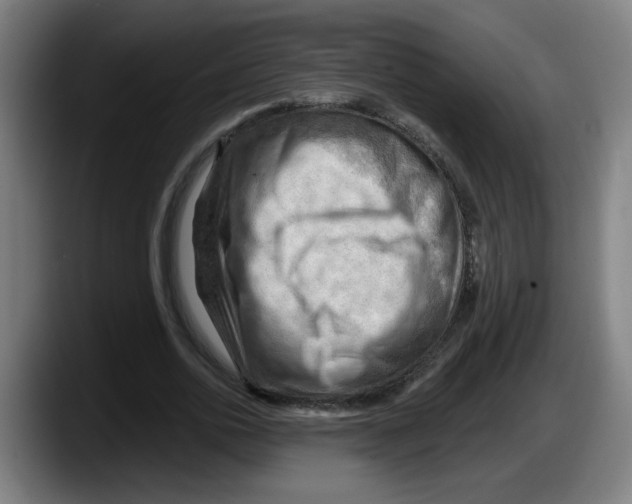 X0000087590726200705251901
