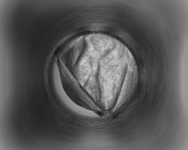 X0000087590727200705251901
