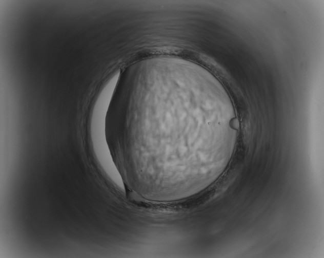 X0000087590729200705251901