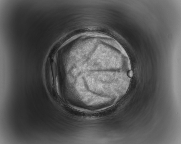 X0000087590730200705251901