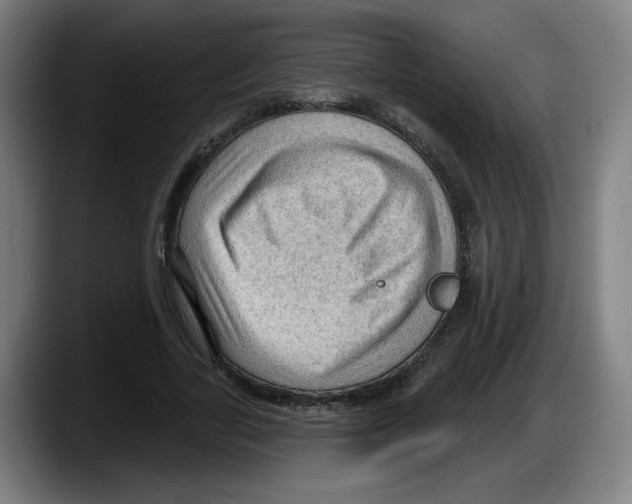 X0000087590731200705251901