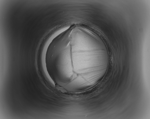 X0000087590732200705251901