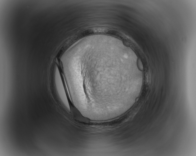 X0000087590733200705251901