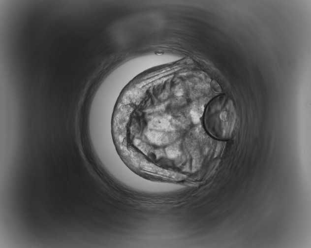 X0000087590734200705251901
