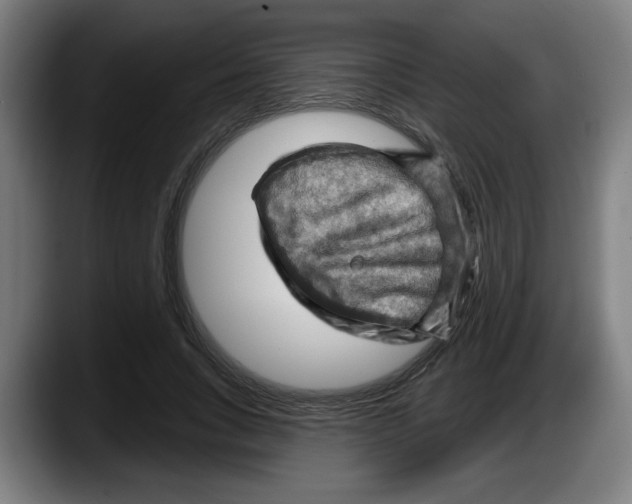 X0000087590735200705251901