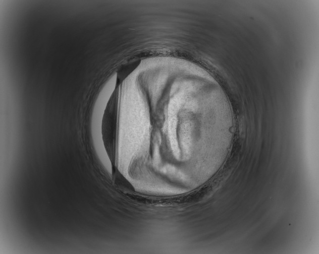 X0000087590737200705251901