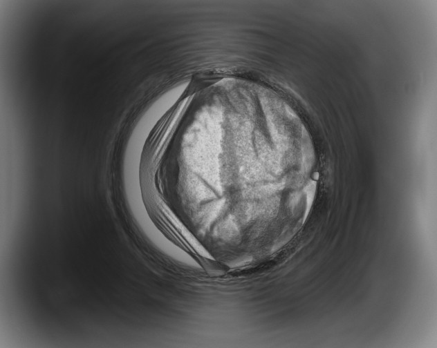 X0000087590738200705251901