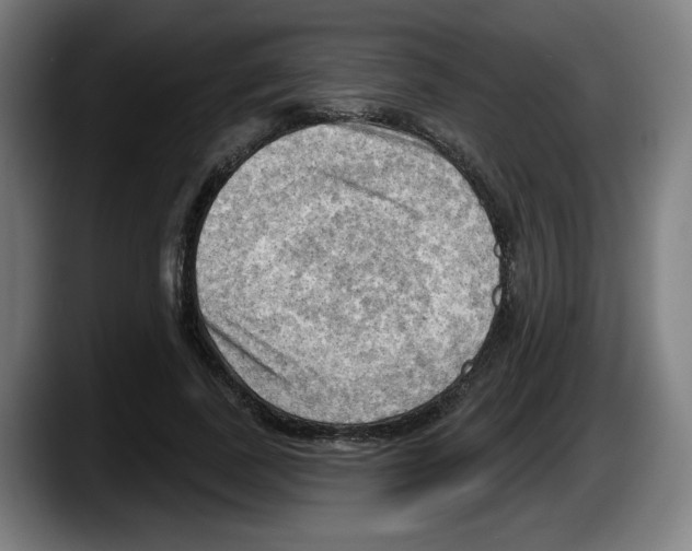 X0000087590739200705251901