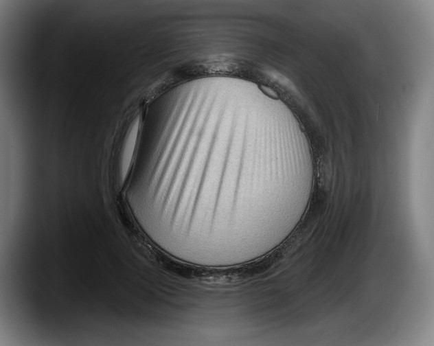 X0000087590740200705251901
