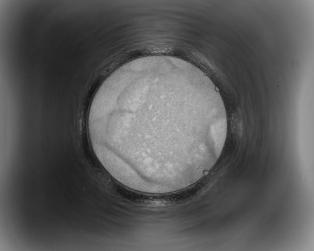 X0000087590741200705251901