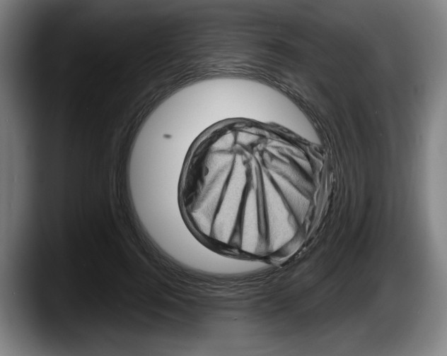 X0000087590744200705251901