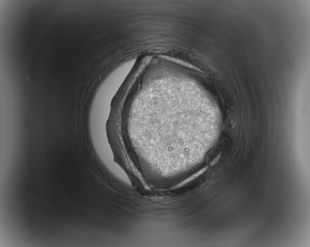 X0000087590745200705251901