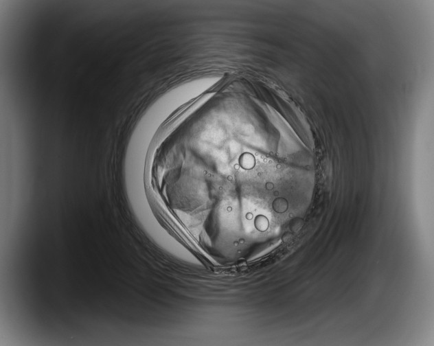 X0000087590746200705251901