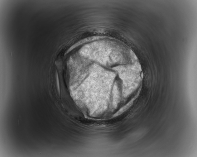 X0000087590747200705251901