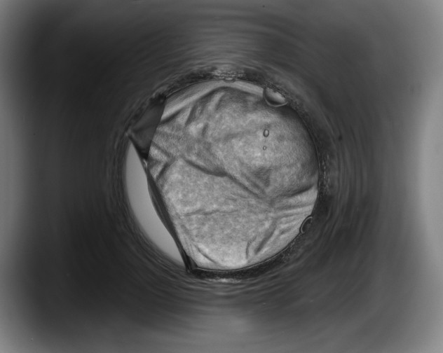 X0000087590748200705251901