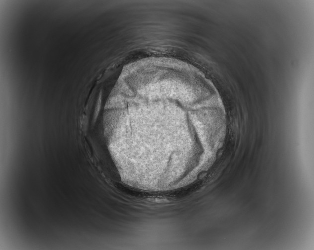 X0000087590749200705251901