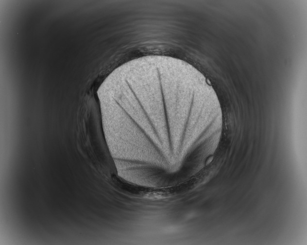 X0000087590751200705251901