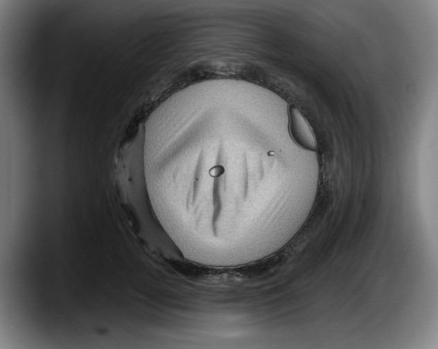 X0000087590752200705251901