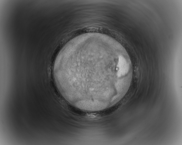 X0000087590753200705251901