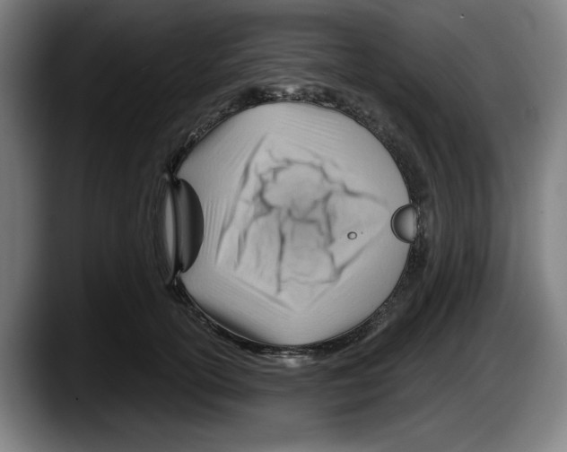 X0000087590754200705251901