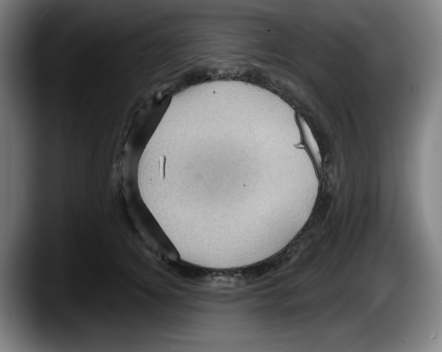 X0000087590756200705251901