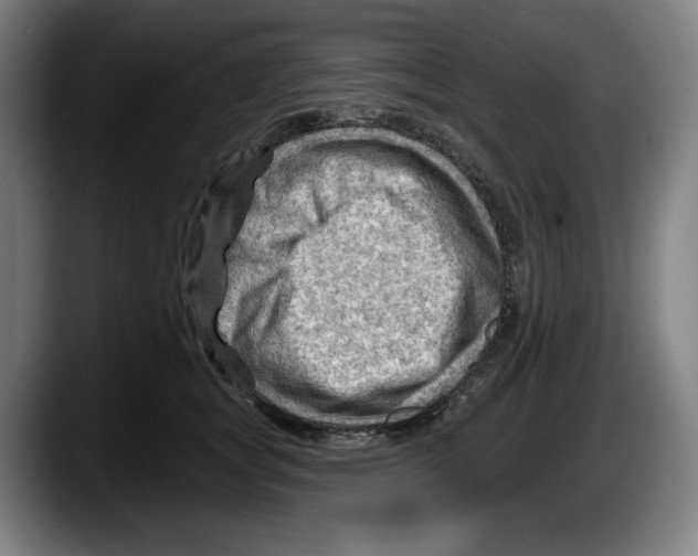 X0000087590757200705251901