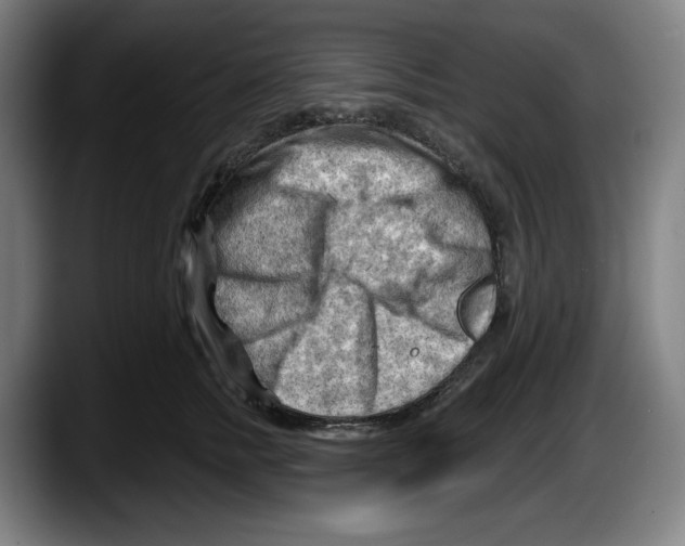 X0000087590758200705251901