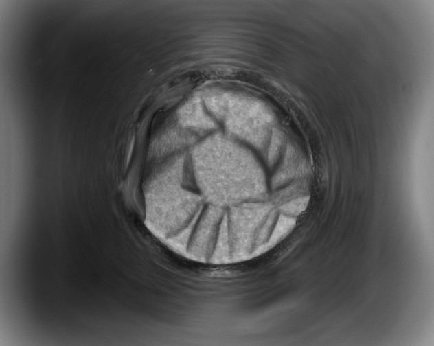 X0000087590759200705251901