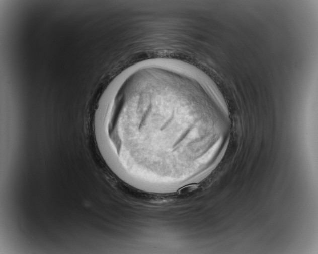 X0000087590760200705251901