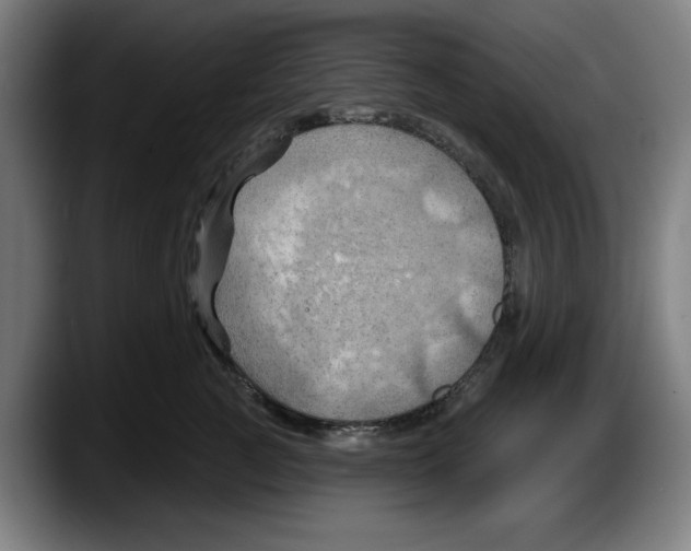 X0000087590761200705251901