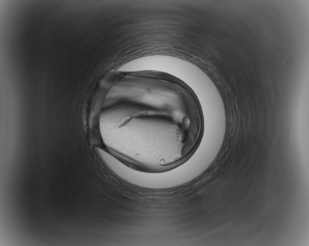 X0000087590762200705251901