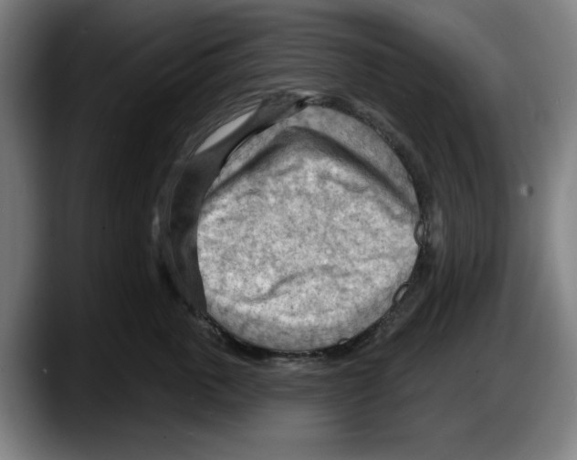 X0000087590763200705251901