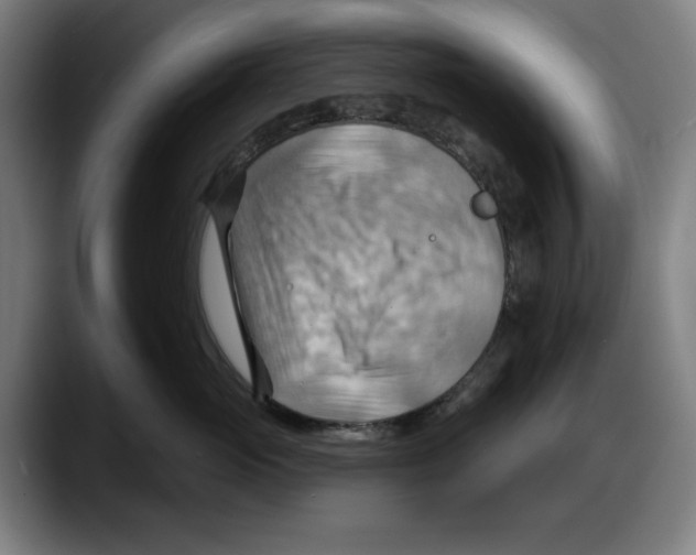 X0000087590765200705251901