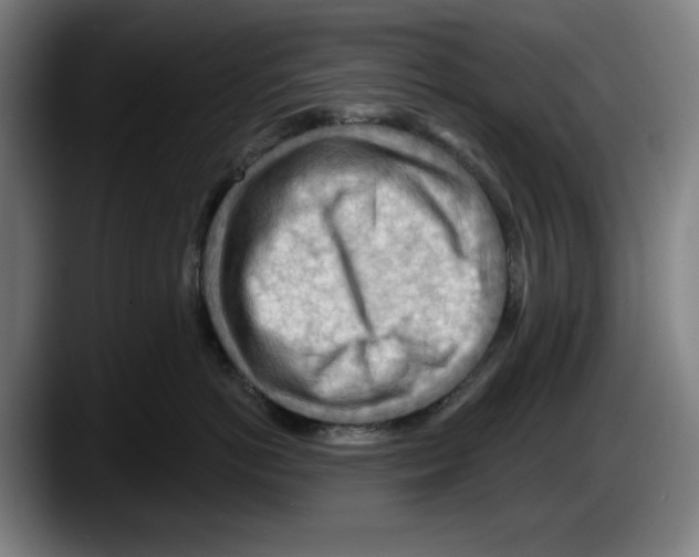X0000087590766200705251901