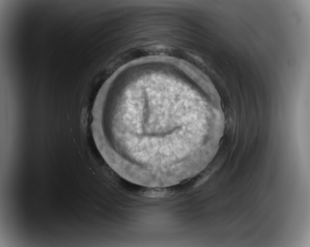 X0000087590767200705251901