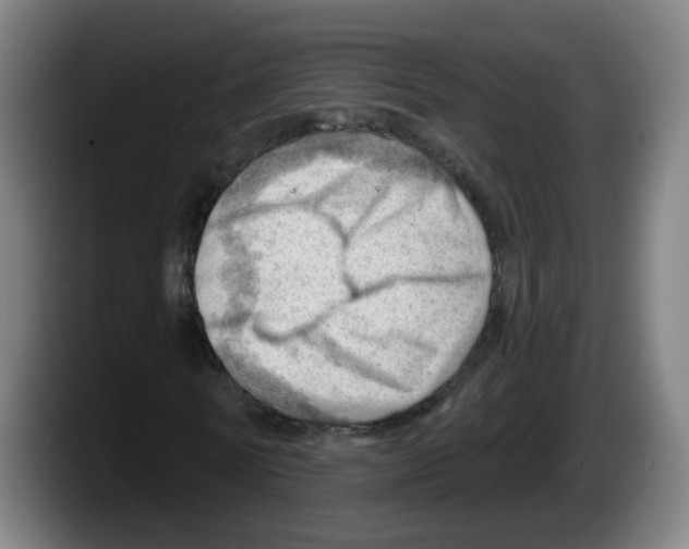 X0000087590770200705251901
