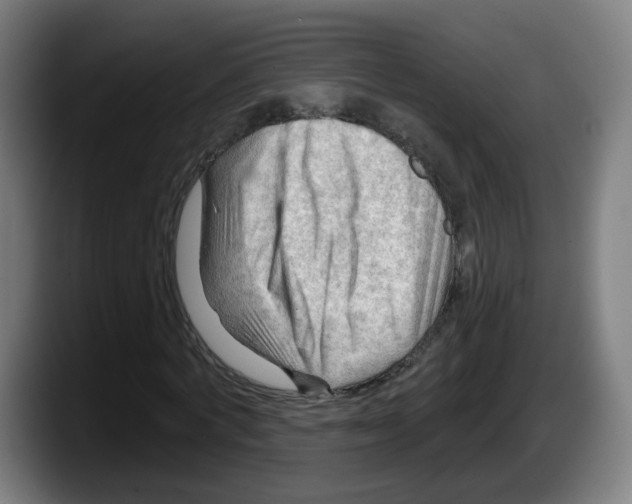 X0000087590772200705251901