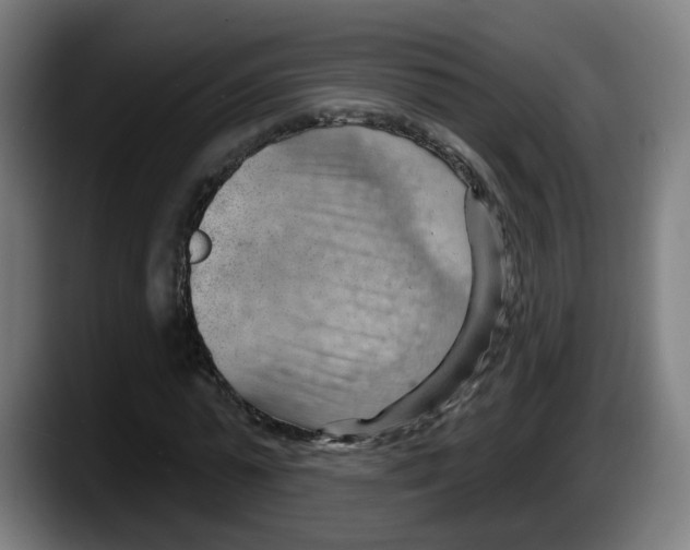 X0000087590775200705251901