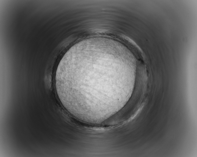 X0000087590777200705251901