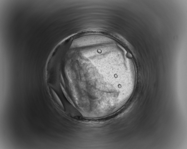 X0000087590779200705251901