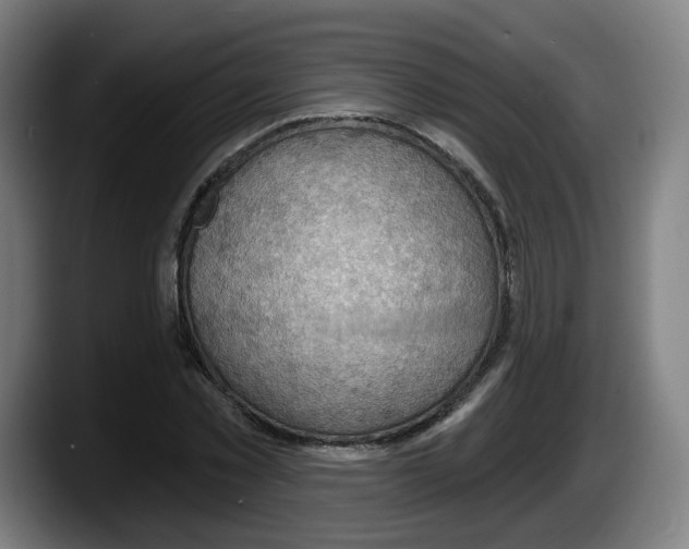 X0000087590781200705251901