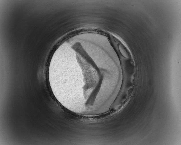 X0000087590783200705251901