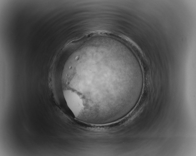 X0000087590785200705251901