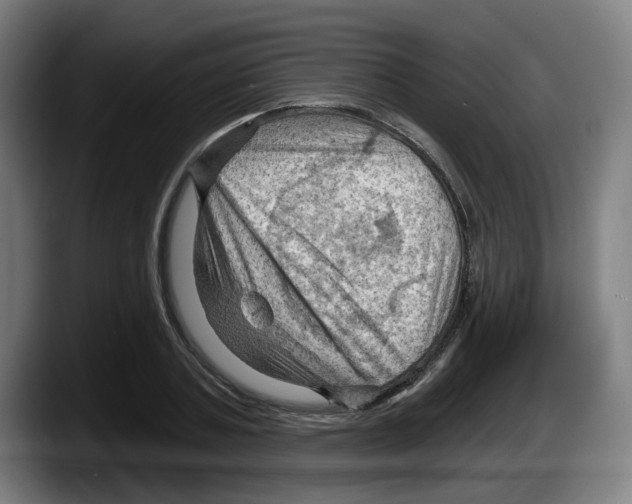 X0000087590787200705251900