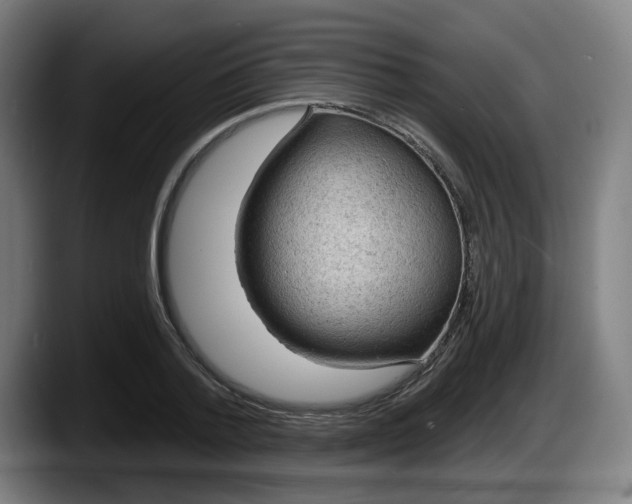 X0000087590788200705251900